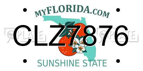 CLZ7876 Florida License Plate