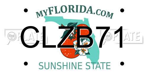 CLZB71 Florida License Plate