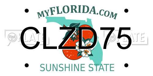 CLZD75 Florida License Plate