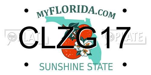 CLZG17 Florida License Plate
