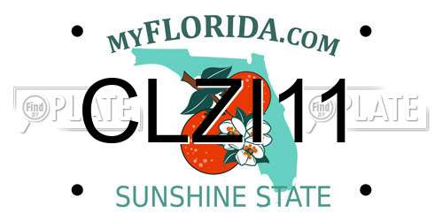 CLZI11 Florida License Plate