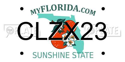 CLZX23 Florida License Plate