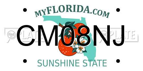 CM08NJ Florida License Plate