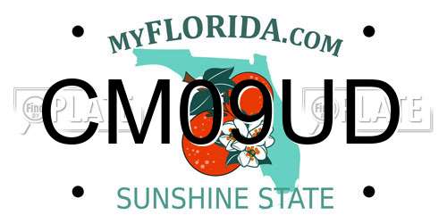 CM09UD Florida License Plate