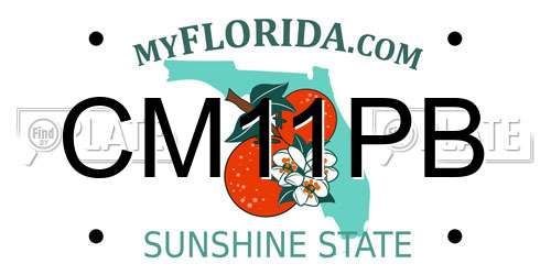 CM11PB Florida License Plate