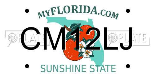 CM12LJ Florida License Plate