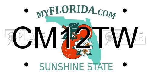 CM12TW Florida License Plate