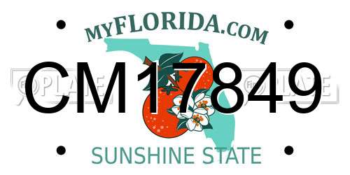 CM17849 Florida License Plate