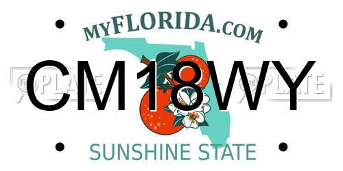 CM18WY Florida License Plate