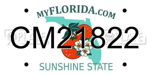 CM21822 Florida License Plate