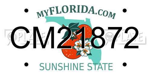 CM21872 Florida License Plate