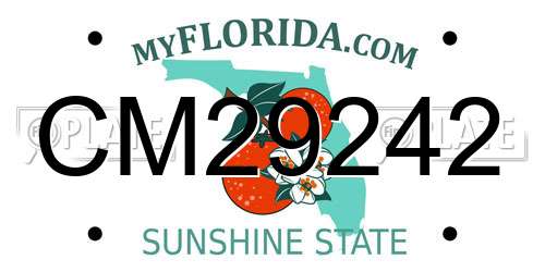 CM29242 Florida License Plate