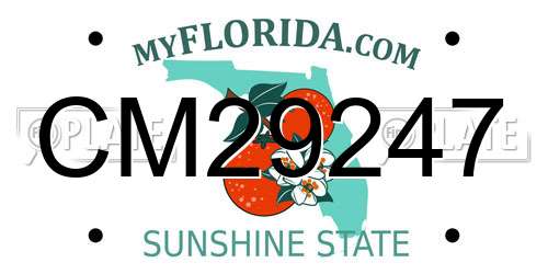 CM29247 Florida License Plate