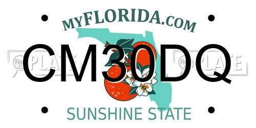 CM30DQ Florida License Plate