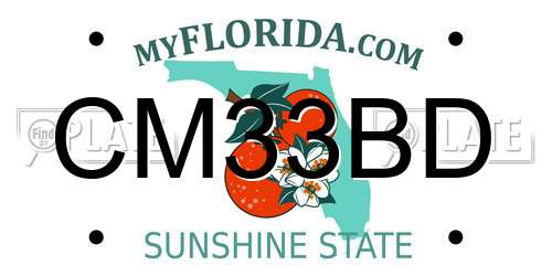 CM33BD Florida License Plate