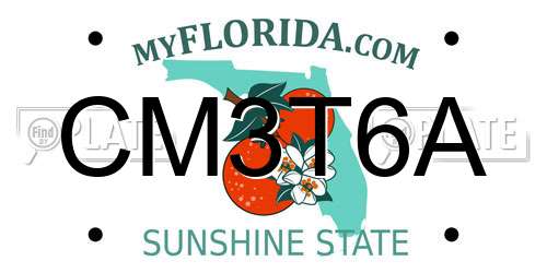 CM3T6A Florida License Plate