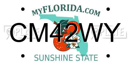 CM42WY Florida License Plate