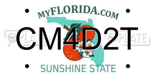 CM4D2T Florida License Plate