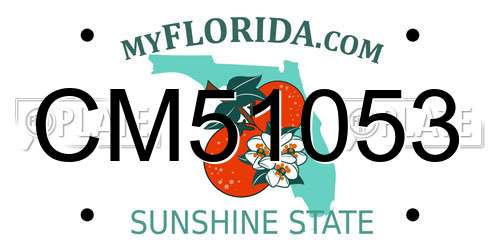 CM51053 Florida License Plate