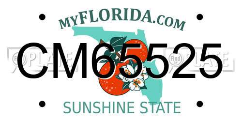 CM65525 Florida License Plate