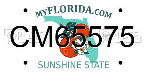 CM65575 Florida License Plate