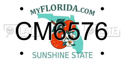 CM6576 Florida License Plate