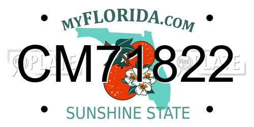 CM71822 Florida License Plate