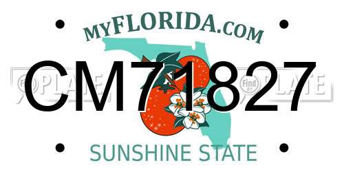 CM71827 Florida License Plate