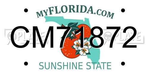 CM71872 Florida License Plate