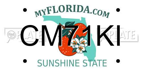 CM71KI Florida License Plate
