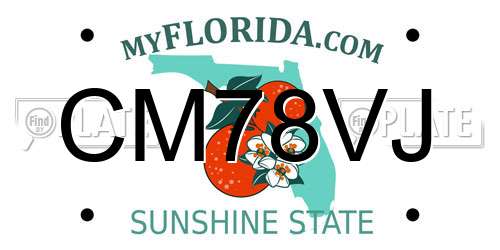CM78VJ Florida License Plate