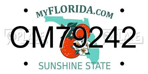 CM79242 Florida License Plate