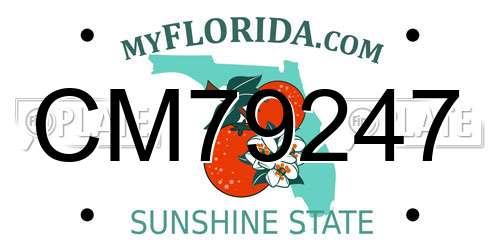 CM79247 Florida License Plate