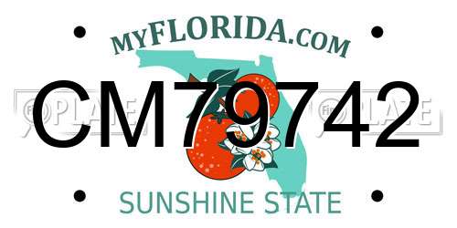 CM79742 Florida License Plate