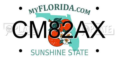CM82AX Florida License Plate