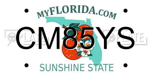 CM85YS Florida License Plate