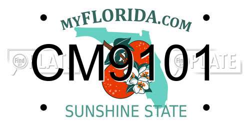 CM9101 Florida License Plate
