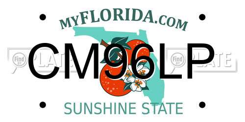 CM96LP Florida License Plate