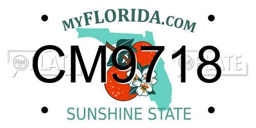 CM9718 Florida License Plate