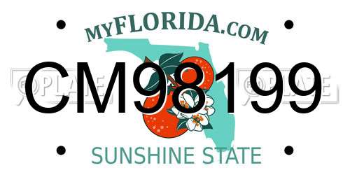 CM98199 Florida License Plate