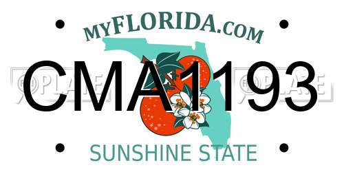 CMA1193 Florida License Plate