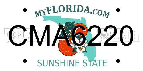 CMA6220 Florida License Plate