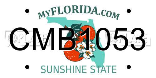 CMB1053 Florida License Plate