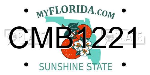CMB1221 Florida License Plate