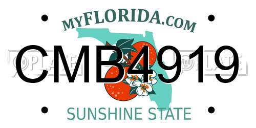 CMB4919 Florida License Plate