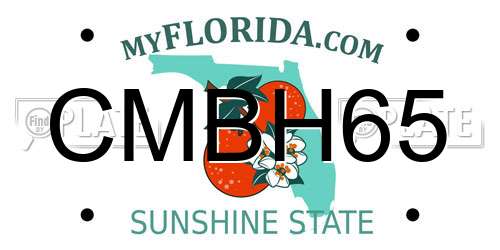 CMBH65 Florida License Plate