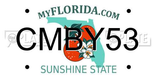 CMBY53 Florida License Plate