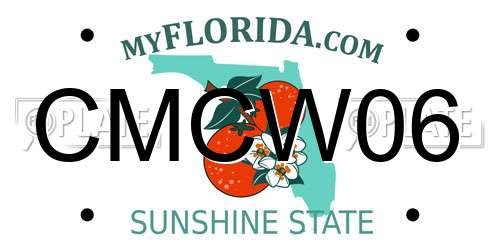 CMCW06 Florida License Plate