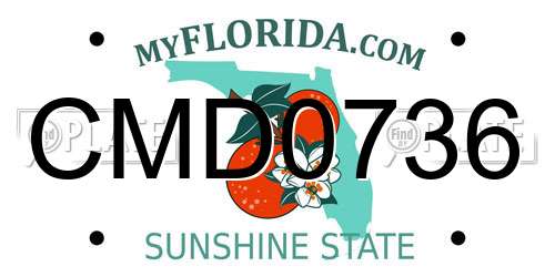 CMD0736 Florida License Plate