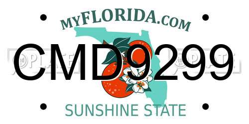 CMD9299 Florida License Plate